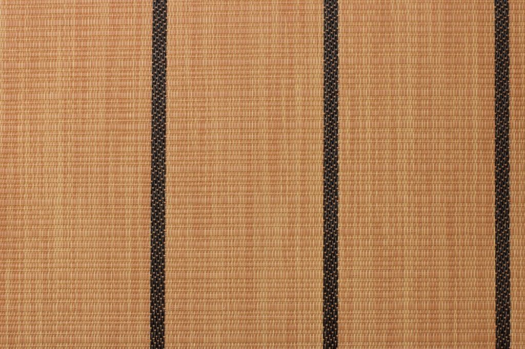 Camel Stripe